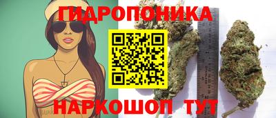 гашишное масло Гусь-Хрустальный