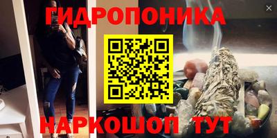 стафф Гусев